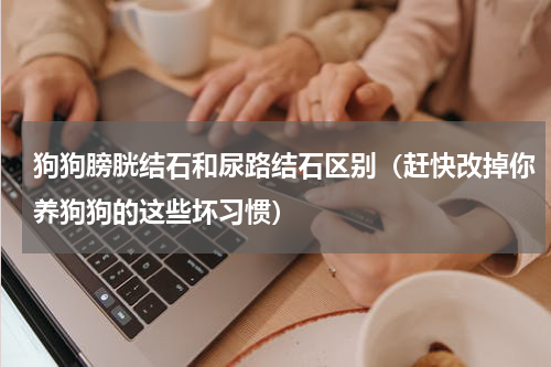 狗狗膀胱结石和尿路结石区别（赶快改掉你养狗狗的这些坏习惯）