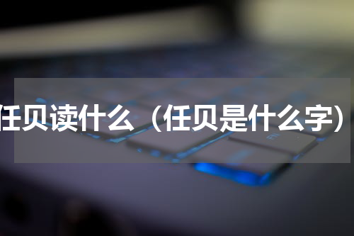 任贝读什么（任贝是什么字）