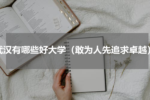 武汉有哪些好大学（敢为人先追求卓越）