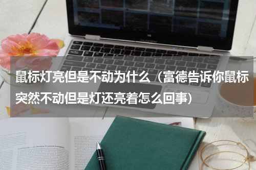 鼠标灯亮但是不动为什么（富德告诉你鼠标突然不动但是灯还亮着怎么回事）