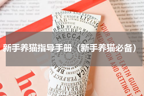 新手养猫指导手册（新手养猫必备）