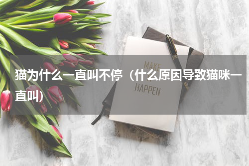 猫为什么一直叫不停（什么原因导致猫咪一直叫）
