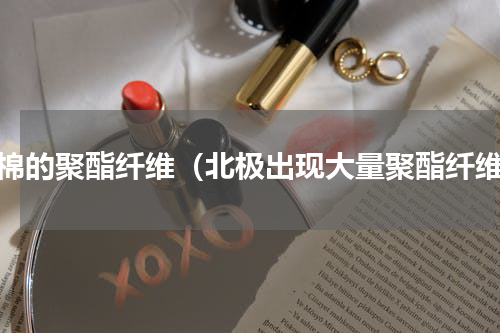 含棉的聚酯纤维（北极出现大量聚酯纤维）