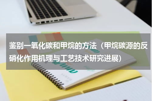 鉴别一氧化碳和甲烷的方法（甲烷碳源的反硝化作用机理与工艺技术研究进展）