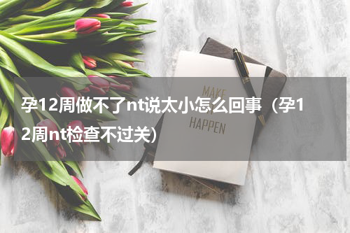 孕12周做不了nt说太小怎么回事（孕12周nt检查不过关）