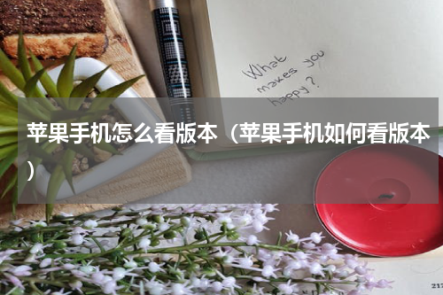 苹果手机怎么看版本（苹果手机如何看版本）