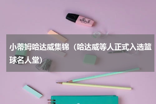 小蒂姆哈达威集锦（哈达威等人正式入选篮球名人堂）