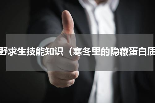 荒野求生技能知识（寒冬里的隐藏蛋白质）
