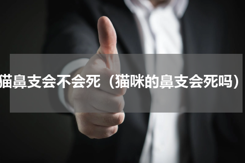 猫鼻支会不会死（猫咪的鼻支会死吗）