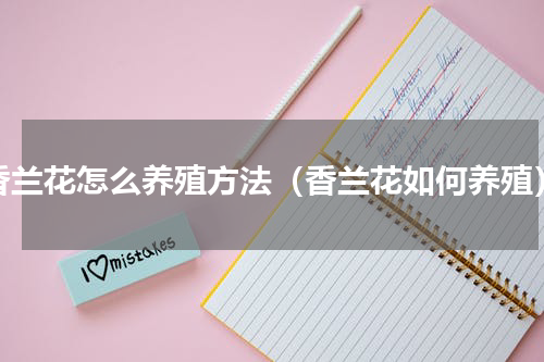 香兰花怎么养殖方法（香兰花如何养殖）