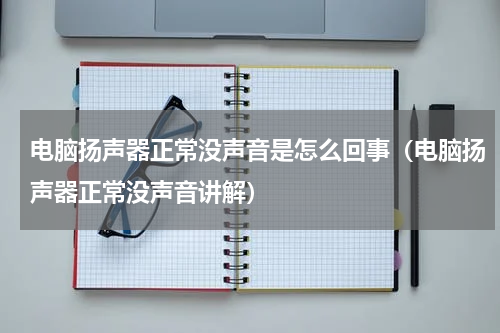 电脑扬声器正常没声音是怎么回事（电脑扬声器正常没声音讲解）