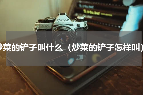 炒菜的铲子叫什么（炒菜的铲子怎样叫）