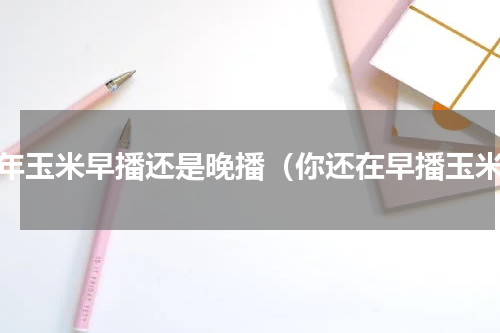 今年玉米早播还是晚播（你还在早播玉米）