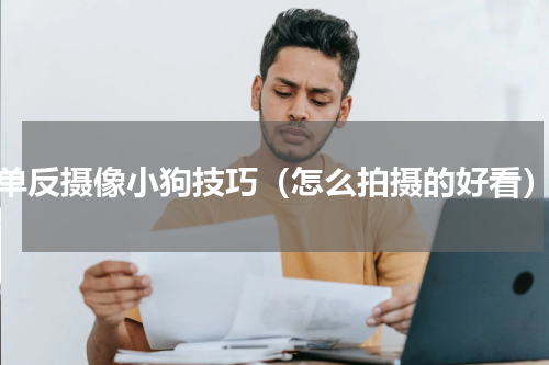单反摄像小狗技巧（怎么拍摄的好看）