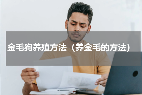 金毛狗养殖方法（养金毛的方法）