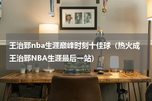 王治郅nba生涯巅峰时刻十佳球（热火成王治郅NBA生涯最后一站）