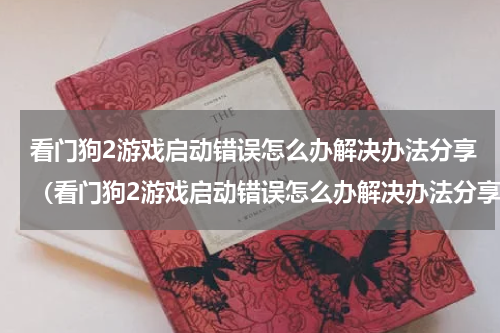 看门狗2游戏启动错误怎么办解决办法分享（看门狗2游戏启动错误怎么办解决办法分享）