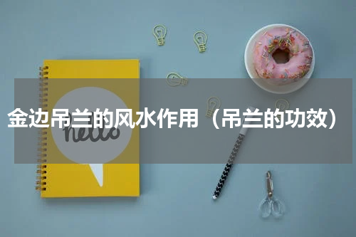 金边吊兰的风水作用（吊兰的功效）