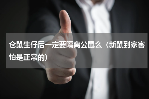 仓鼠生仔后一定要隔离公鼠么（新鼠到家害怕是正常的）