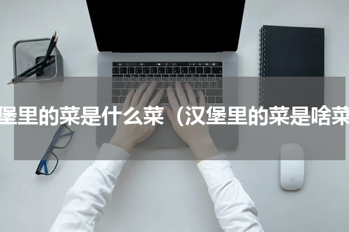 汉堡里的菜是什么菜（汉堡里的菜是啥菜）