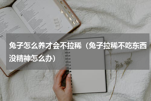 兔子怎么养才会不拉稀（兔子拉稀不吃东西没精神怎么办）
