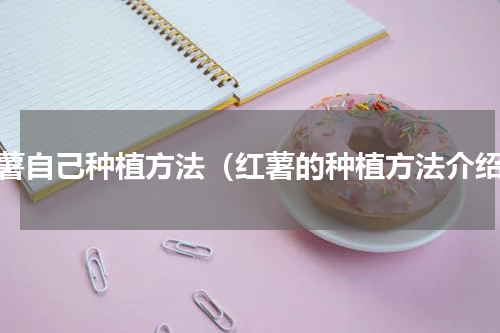 红薯自己种植方法（红薯的种植方法介绍）