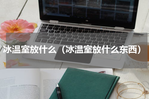 冰温室放什么（冰温室放什么东西）