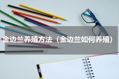 金边兰养殖方法（金边兰如何养殖）