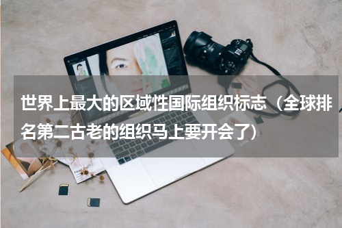 世界上最大的区域性国际组织标志（全球排名第二古老的组织马上要开会了）