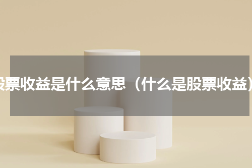 股票收益是什么意思（什么是股票收益）