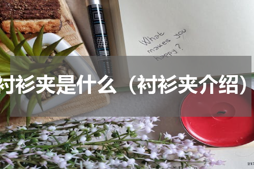 衬衫夹是什么（衬衫夹介绍）