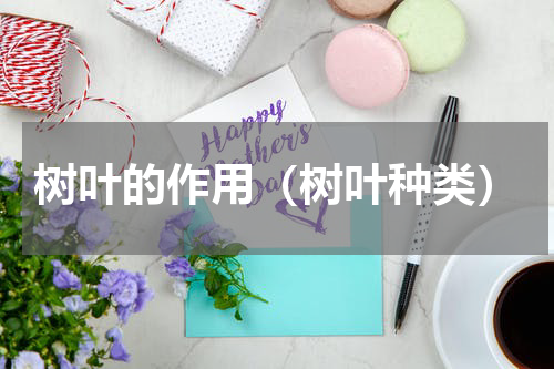 树叶的作用（树叶种类）