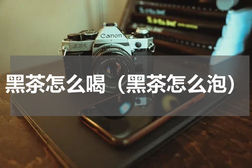黑茶怎么喝（黑茶怎么泡）