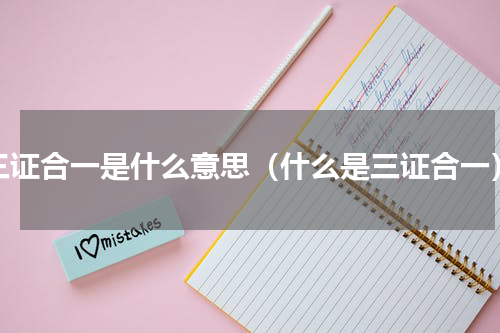 三证合一是什么意思（什么是三证合一）