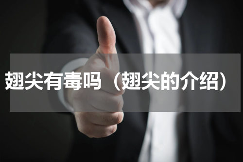 翅尖有毒吗（翅尖的介绍）