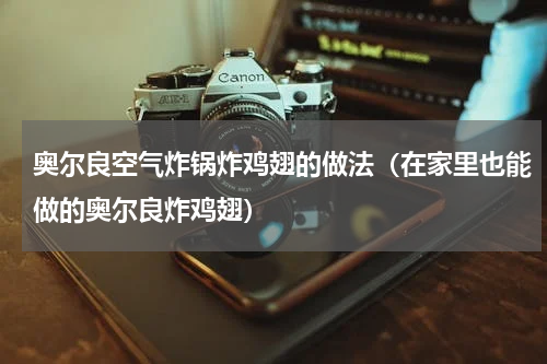 奥尔良空气炸锅炸鸡翅的做法（在家里也能做的奥尔良炸鸡翅）