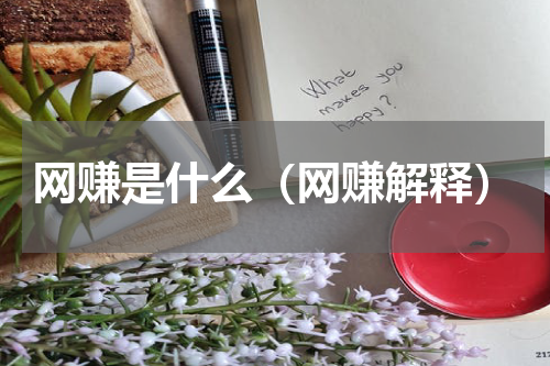 网赚是什么（网赚解释）