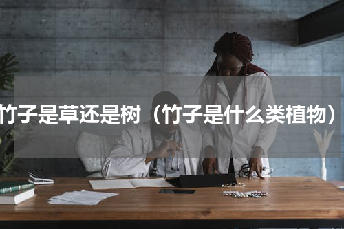 竹子是草还是树（竹子是什么类植物）