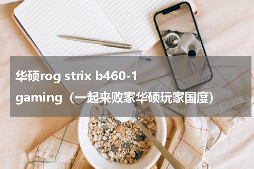华硕rog strix b460-1 gaming（一起来败家华硕玩家国度）
