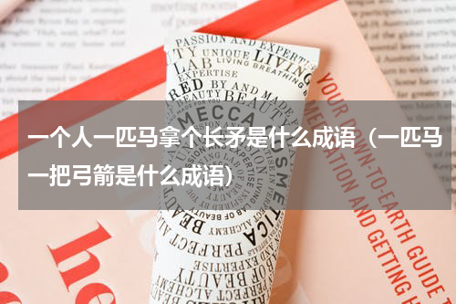一个人一匹马拿个长矛是什么成语（一匹马一把弓箭是什么成语）