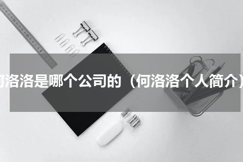 何洛洛是哪个公司的（何洛洛个人简介）