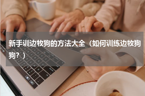 新手训边牧狗的方法大全（如何训练边牧狗狗？）