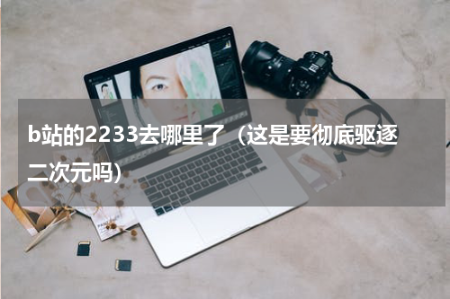 b站的2233去哪里了（这是要彻底驱逐二次元吗）