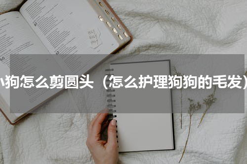 小狗怎么剪圆头（怎么护理狗狗的毛发）
