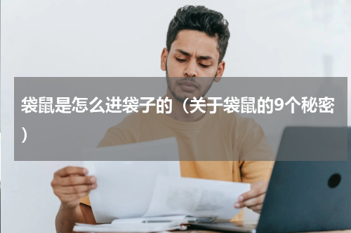 袋鼠是怎么进袋子的（关于袋鼠的9个秘密）