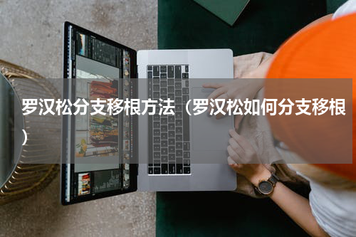罗汉松分支移根方法（罗汉松如何分支移根）