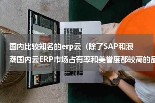 国内比较知名的erp云（除了SAP和浪潮国内云ERP市场占有率和美誉度都较高的品牌还有哪些）