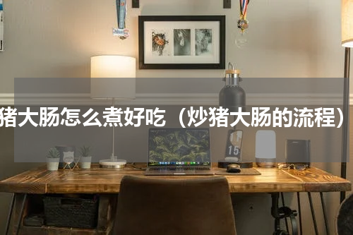 猪大肠怎么煮好吃（炒猪大肠的流程）