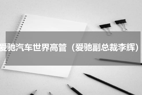 爱驰汽车世界高管（爱驰副总裁李辉）