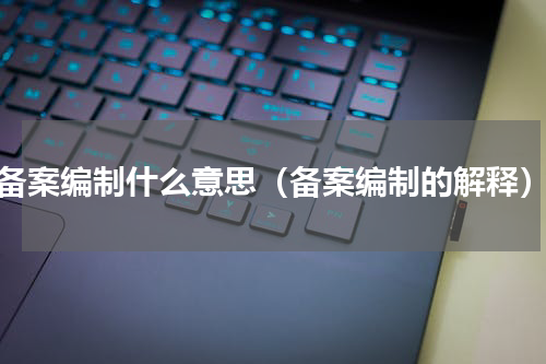 备案编制什么意思（备案编制的解释）